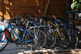rent-a-bike at Hullam Hostel
